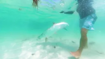 BUCKET LIST FISHING ADVENTURES: GIANT TARPON ON THE BEACH