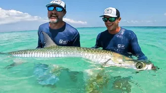 BUCKET LIST FISHING ADVENTURES: GIANT TARPON ON THE BEACH