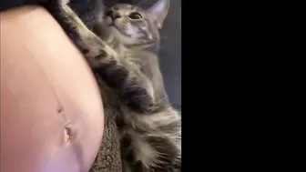 Cat Realizes Its Owner Is Pregnant