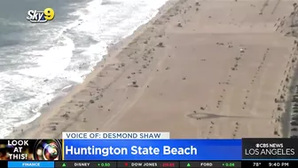 Look At This: Huntington Beach