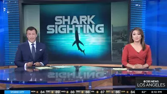 Shark sighting closes parts of Huntington Beach