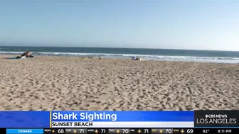 Shark sighting closes parts of Huntington Beach