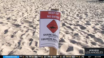 Shark sighting closes parts of Huntington Beach