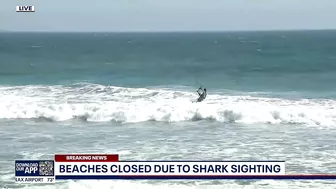 Part of Huntington Beach closed after shark sighting