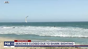 Part of Huntington Beach closed after shark sighting