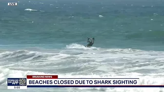 Part of Huntington Beach closed after shark sighting