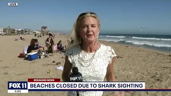 Part of Huntington Beach closed after shark sighting