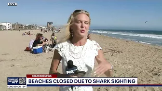 Part of Huntington Beach closed after shark sighting