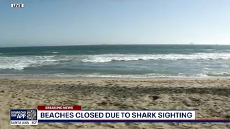 Part of Huntington Beach closed after shark sighting