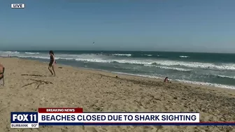 Part of Huntington Beach closed after shark sighting