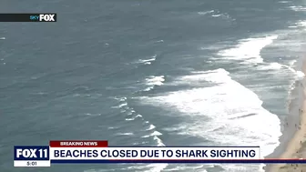 Part of Huntington Beach closed after shark sighting