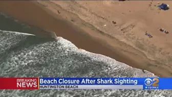 Huntington Beach closes after shark sighting