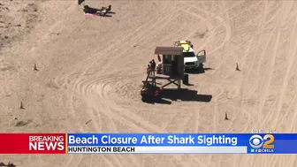 Huntington Beach closes after shark sighting