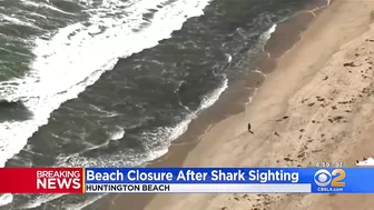 Huntington Beach closes after shark sighting