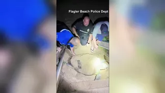 Trapped sea turtle rescued on Florida beach by police officers