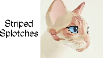 - = WCUE UPCOMING UPDATE SHOWCASE = New models, lashes & more! = WarriorCats: Ultimate Edition. = -