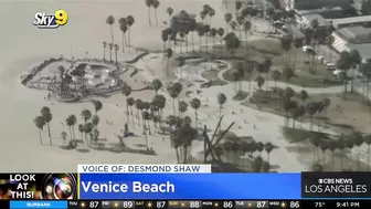 Look At This: Venice Beach