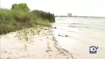 Man diagnosed with flesh eating bacteria after visiting Florida beach