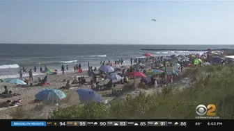 Shark sighting forces beachgoers out of water at Rockaway Beach