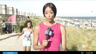 Shark sighting forces beachgoers out of water at Rockaway Beach