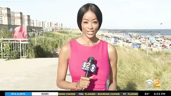 Shark sighting forces beachgoers out of water at Rockaway Beach