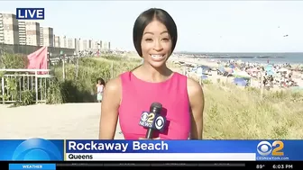 Shark sighting forces beachgoers out of water at Rockaway Beach