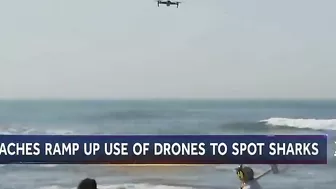 Some Beaches Begin To Use Drones As Shark Attacks Increase