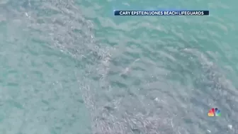 Some Beaches Begin To Use Drones As Shark Attacks Increase