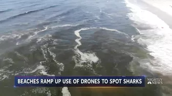 Some Beaches Begin To Use Drones As Shark Attacks Increase