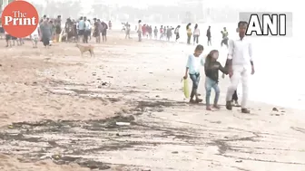 Jellyfish washed ashore on Mumbai's Juhu Beach