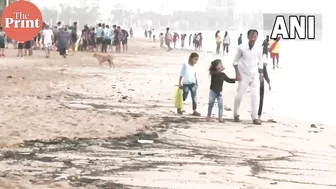 Jellyfish washed ashore on Mumbai's Juhu Beach