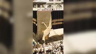 Masjid Al Haram Makkah #shorts