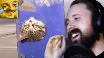 Forsen Reacts to Reverse animal rescue meme compilation