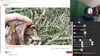 Forsen Reacts to Reverse animal rescue meme compilation