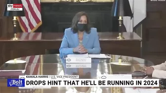 ‘Sounds like an Instagram caption’: Kamala Harris starts meeting by declaring pronouns