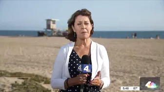 Large Shark Washes Ashore on Sunset Beach | NBCLA