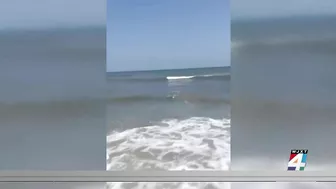 Man possibly bitten by a shark at Jacksonville Beach