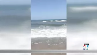 Man possibly bitten by a shark at Jacksonville Beach