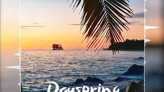 Firefl!es - Dayspring (Tropical Music)