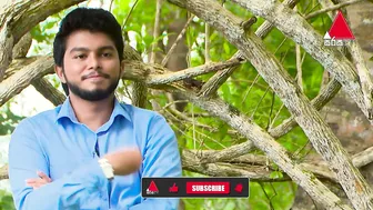 ලංකාවේ ගෑණු ළමයි මට වශීවෙනවා Celebrity Rapid Fire | Devnaka Porage | HLH | Sirasa TV