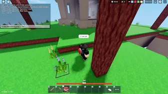 roblox bedwars devs please dont ban me..????????????