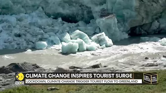 WION Climate Tracker: Tourists wish to travel to Greenland 'before it disappears'