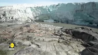 WION Climate Tracker: Tourists wish to travel to Greenland 'before it disappears'