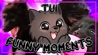 TUI FUNNY MOMENTS