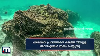 അമേരിക്കയിലെ ഹവായിയിലെ ബീച്ചുകൾ വ‍ൃത്തിയാക്കി പരിസ്ഥിതി പ്രവർത്തകർ | Mathrubhumi News | Beach