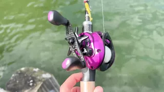 Unique PROTOTYPE Fishing Rod - YOU can WIN! (BFS travel rod giveaway) ????