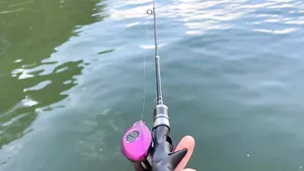 Unique PROTOTYPE Fishing Rod - YOU can WIN! (BFS travel rod giveaway) ????