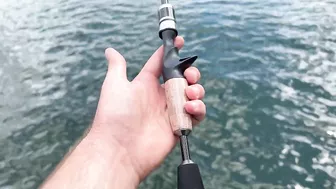 Unique PROTOTYPE Fishing Rod - YOU can WIN! (BFS travel rod giveaway) ????