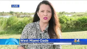 2022 Florida Python Challenge kicks off in the Everglades