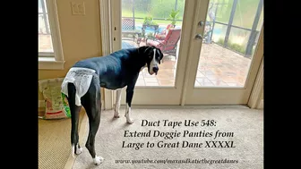 Funny Great Dane Models DIY XXXXL Duct Tape Doggie Diapers